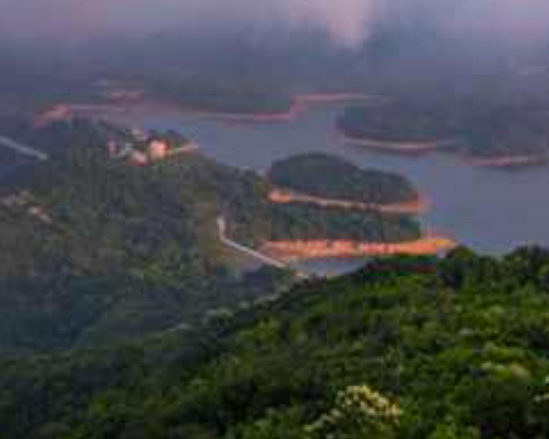 三洲田水库(茶溪谷片区)水质保障完善工程